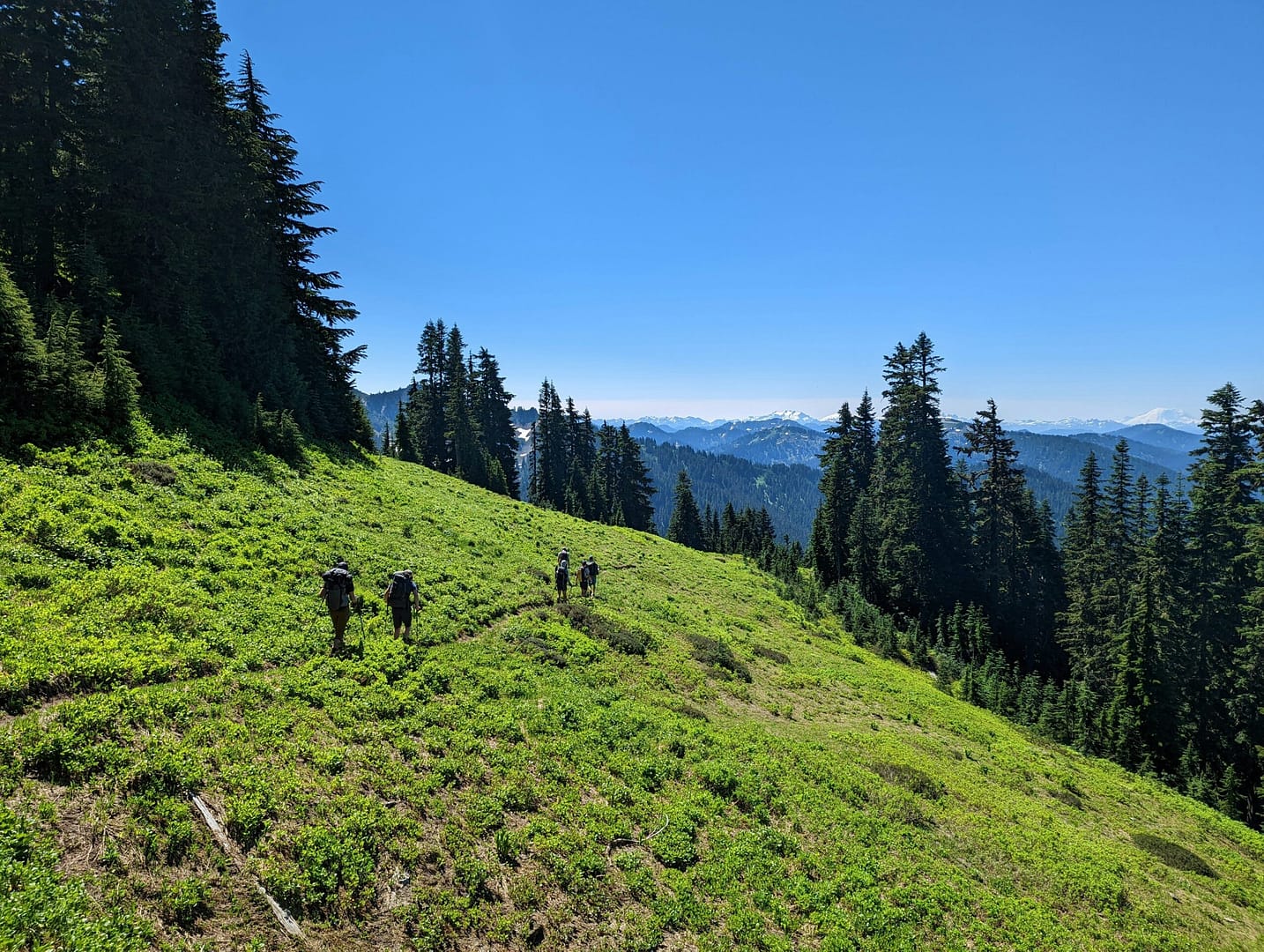 A group of four hikers walks along a narrow trail on a green mountainside