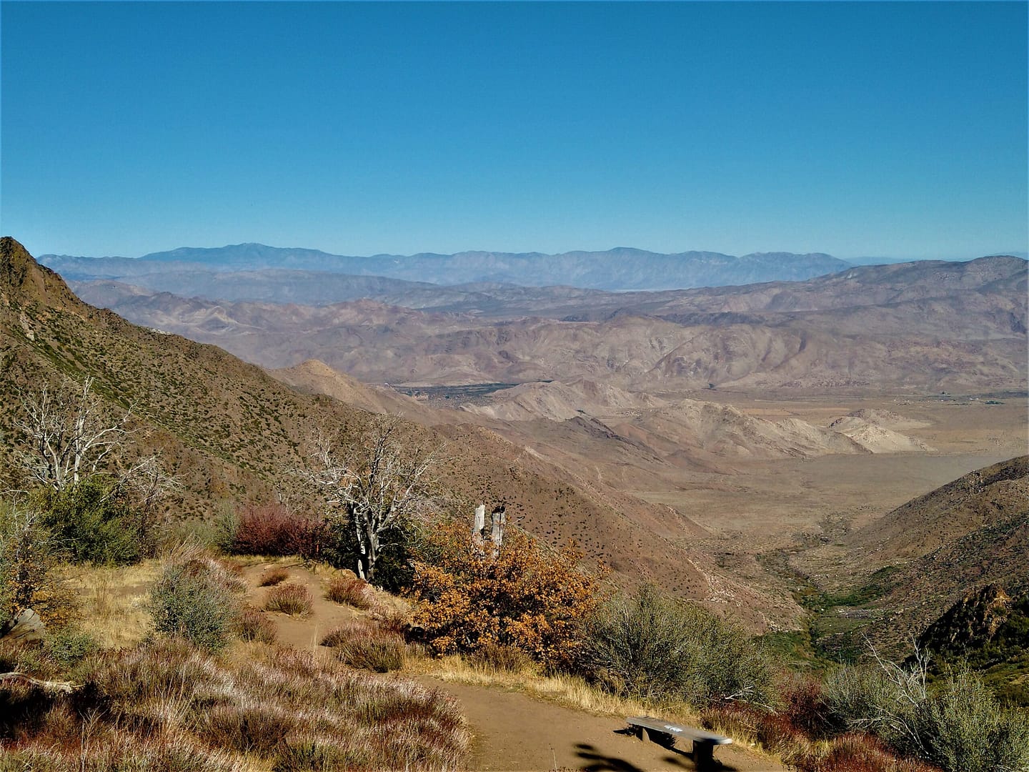 A wide view of a desert mountain landscape under a clear blue sky. In the foreground, a dirt trail lined with dry shrubs and sparse trees winds through the hills. A bench sits on the right side, overlooking the expansive valley and distant mountain ranges.