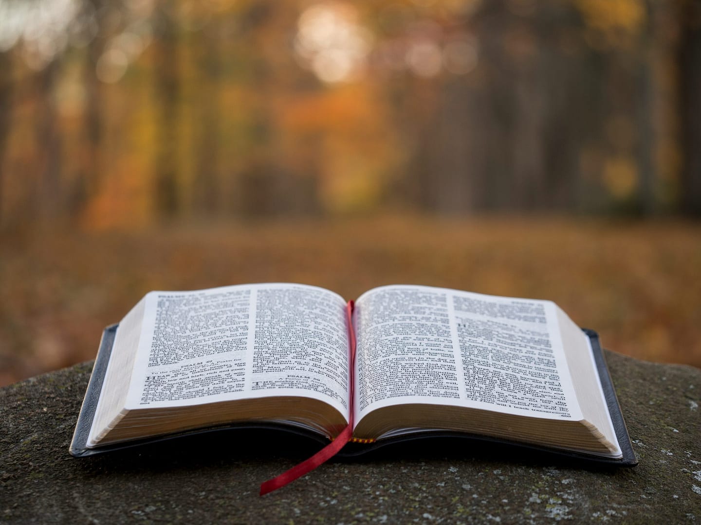 Book open on an outdoors table with trees on the background