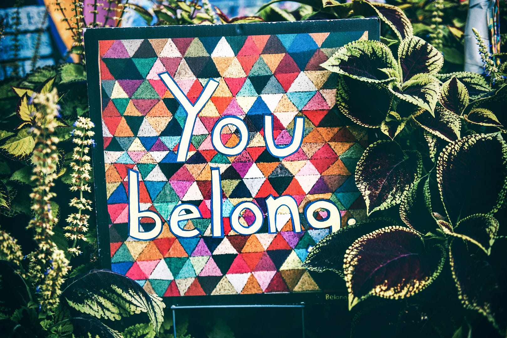 Colorful sign, reading "you belong," surrounded by plants