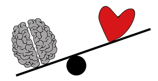 A simple illustration of a seesaw with a gray brain on the left side and a red heart on the right side. The brain is heavier, causing its side of the seesaw to tilt downward, symbolizing a balance—or imbalance—between logic and emotion.