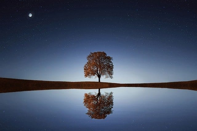 A solitary tree stands at the edge of a perfectly still body of water under a starry night sky, its reflection mirrored below. The moon glows in the top left corner, evoking a calm and introspective mood—fitting for a post about self-guided teaching reflection.