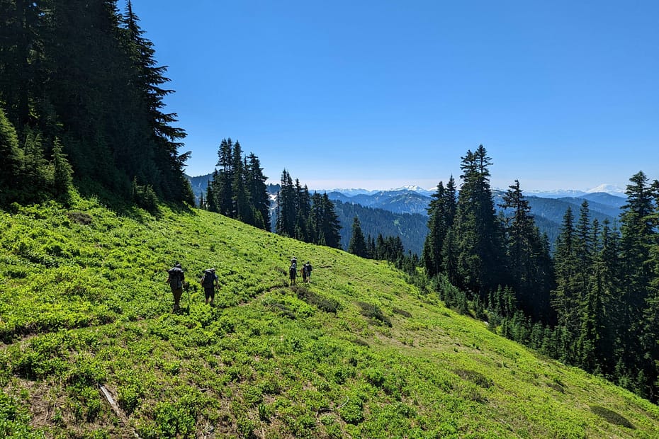 A group of four hikers walks along a narrow trail on a green mountainside